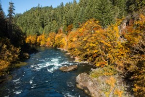 An image of a landscape with a river running past forested banks.