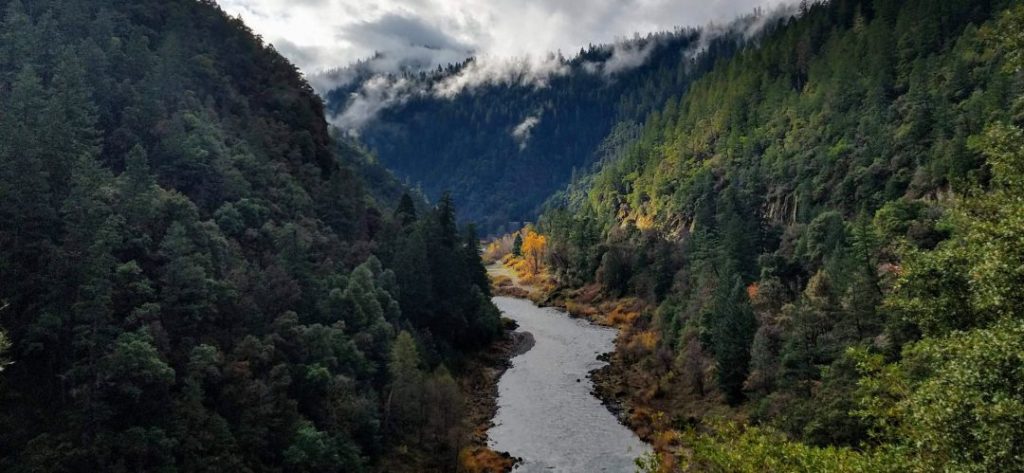 An image of the Rogue River flowing through a forested canyon.