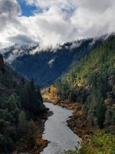 An image of the Rogue River flowing through a forested canyon.